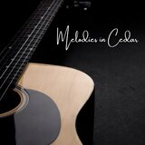 Acoustic Bass Adventure