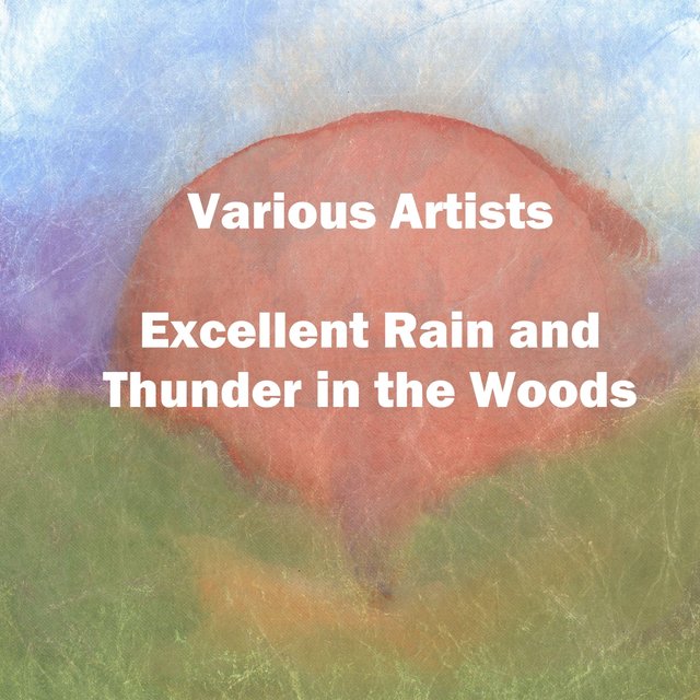 Excellent Rain and Thunder in the Woods