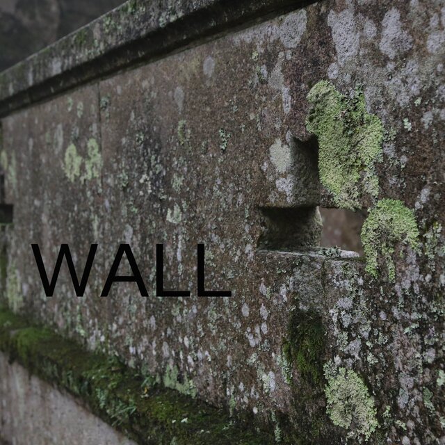 WALL