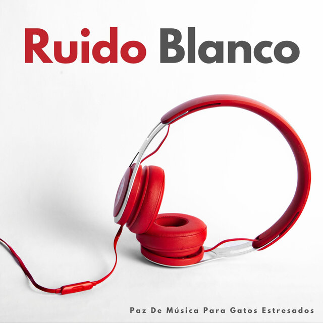 Ruido Blanco: Paz De Música Para Gatos Estresados