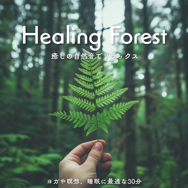 Healing Forest - Relaxing Nature Sounds for Meditation and Sleep