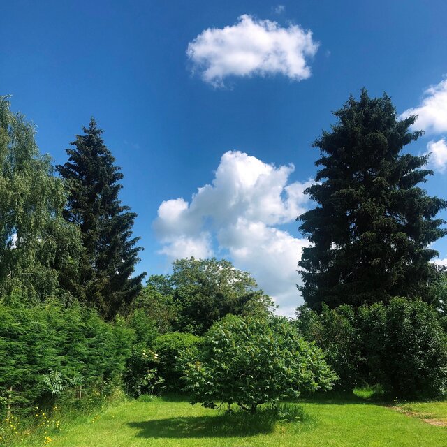 On a Sunny Day