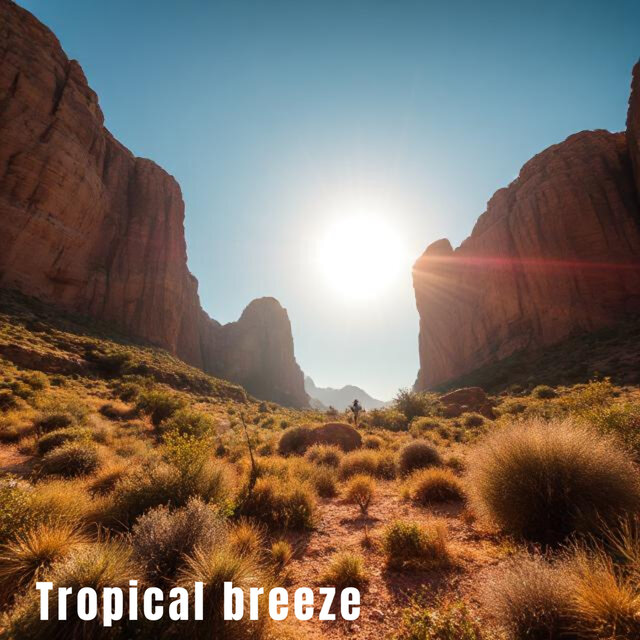 Tropical breeze