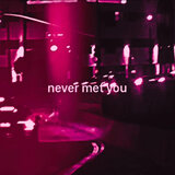NEVER MET YOU (slowed)
