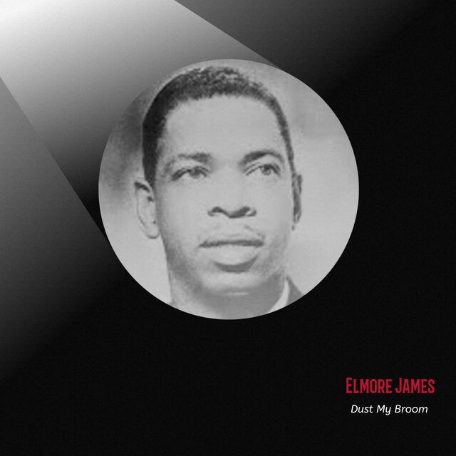 Dust My Broom by Elmore James on TIDAL