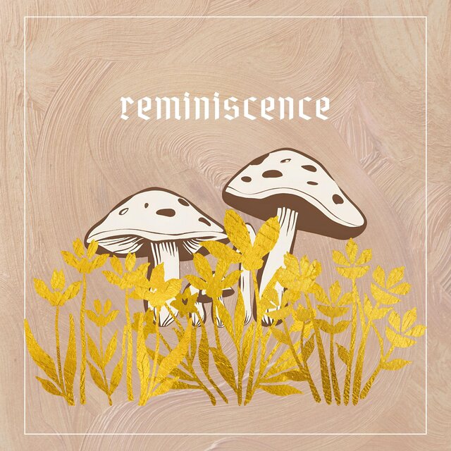 reminiscence