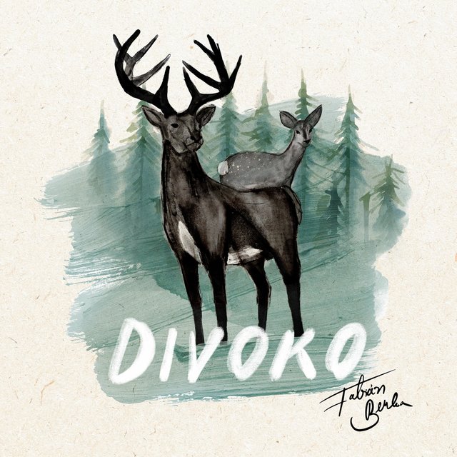 Divoko