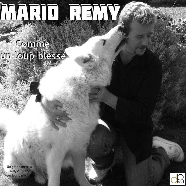 Comme un loup blessé
