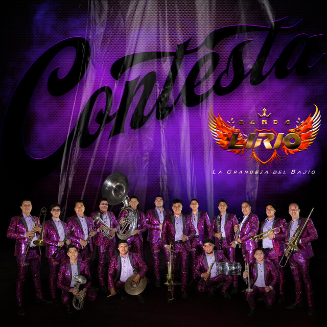 Contesta