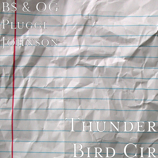 Thunder Bird Cir
