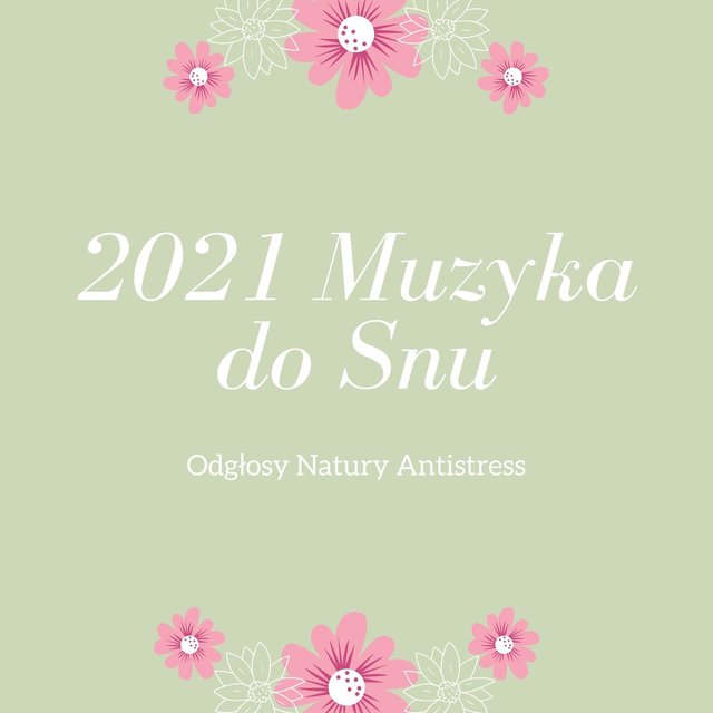 2021 Muzyka do Snu: Odgłosy Natury Antistress