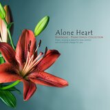 Alone Heart