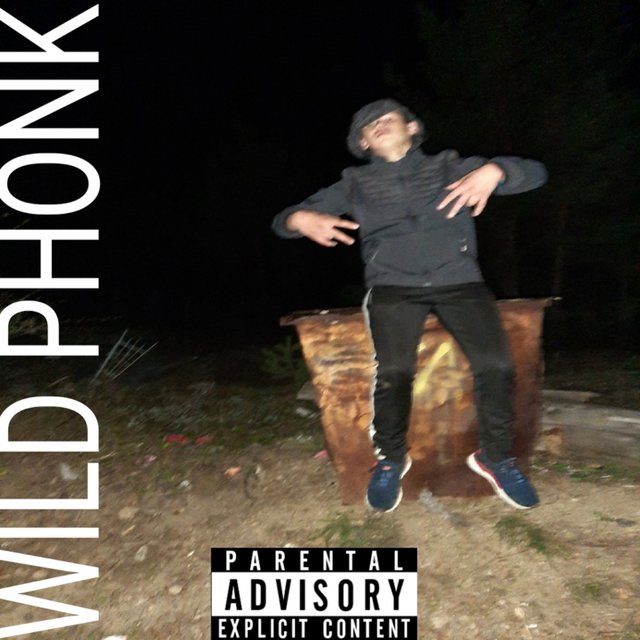 WILD PHONK