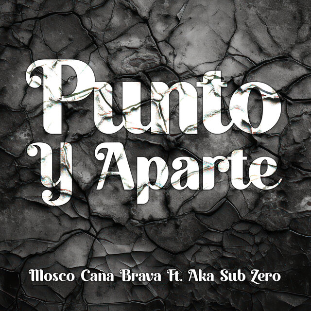 Punto y Aparte