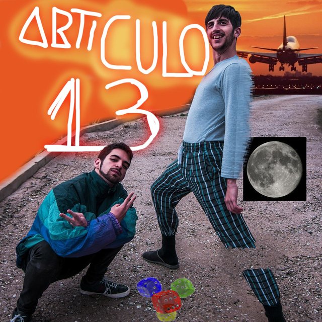 Artículo 13