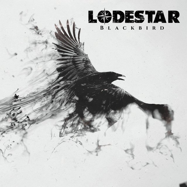 Blackbird
