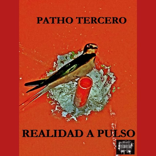 Realidad A Pulso