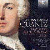 Flute Sonata in G Major,: QV 1:97: III. Vivace