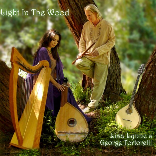 Light in the Wood