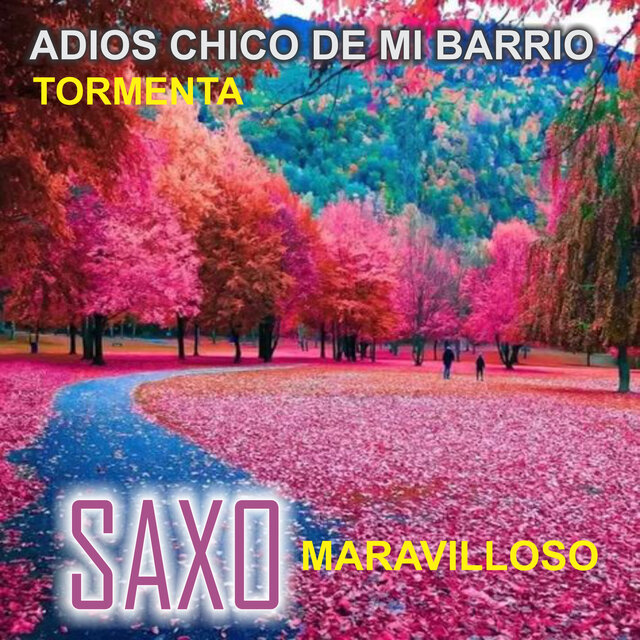 Adios chico de mi barrio (Instrumental Version)