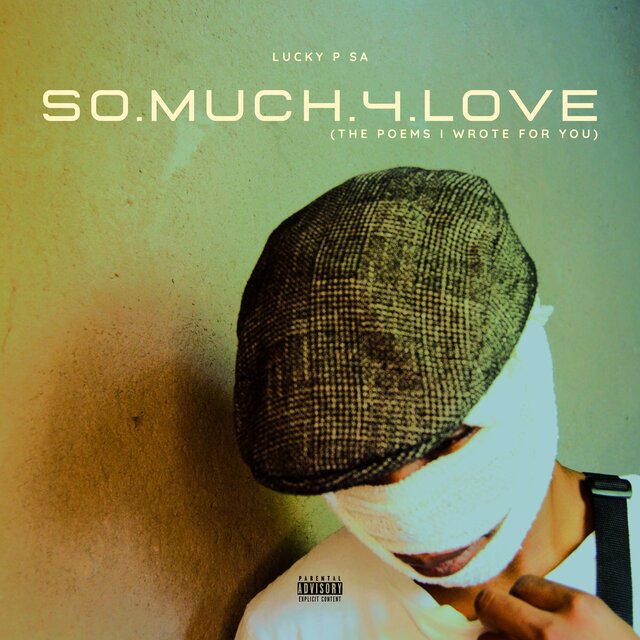 So Much for Love (The Poems I Wrote for You)