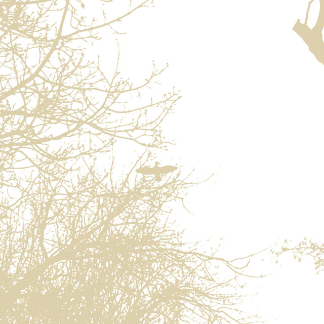 wherearethebirds
