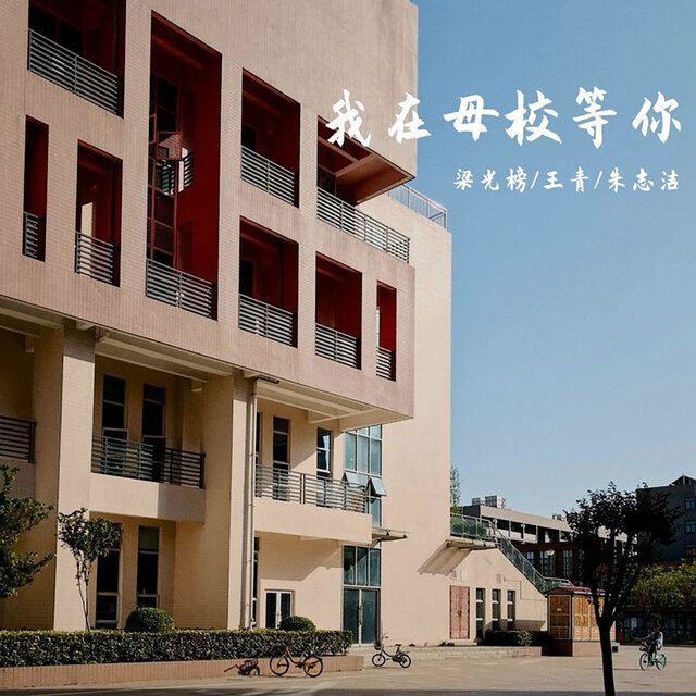 我在母校等你
