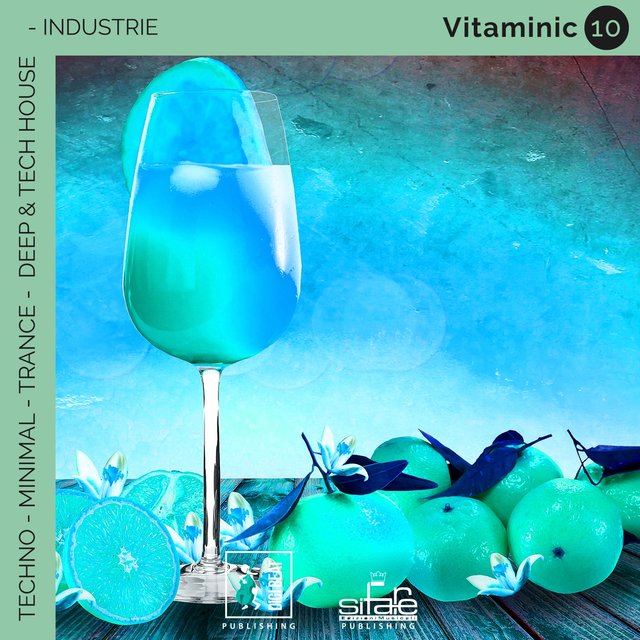 Vitaminic 10 (Remix Version)