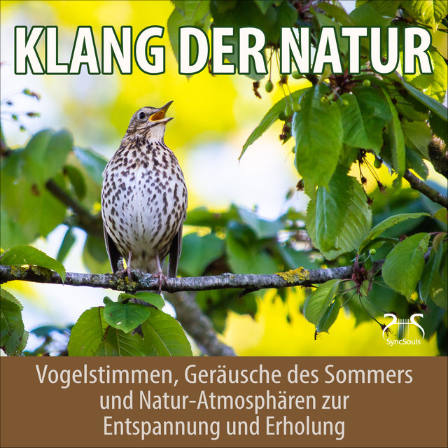 Klang der Natur - Vogelstimmen, Geräusche des Sommers und Natur-Atmosphären zur Entspannung und Erholung