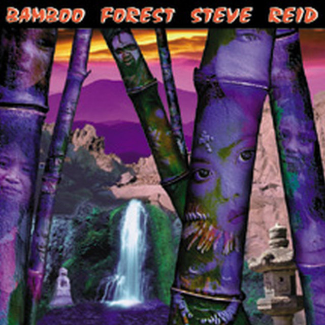 Bamboo Forest