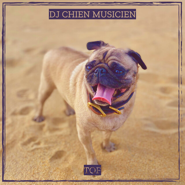 DJ CHIEN MUSICIEN