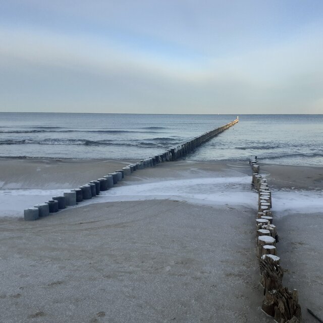 Winter Walk