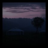 meet me in kyrgyzstan