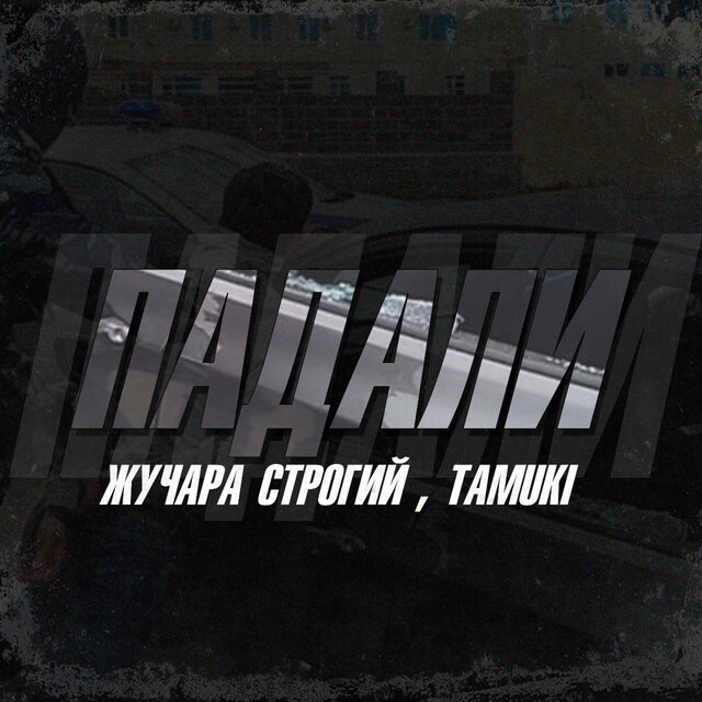 Падали
