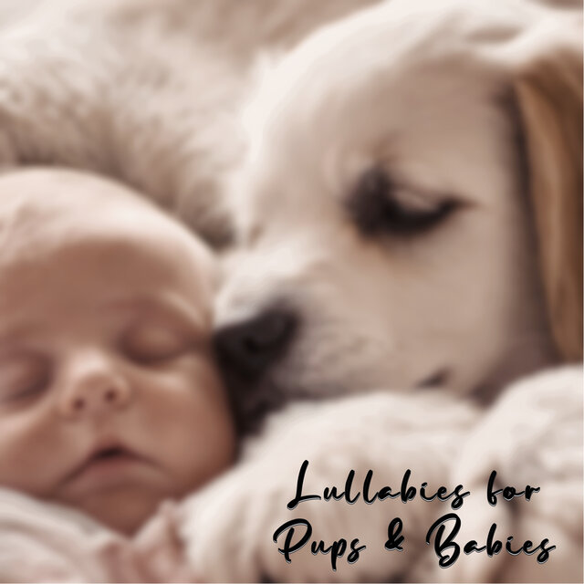 Lullabies for Pups and Babies