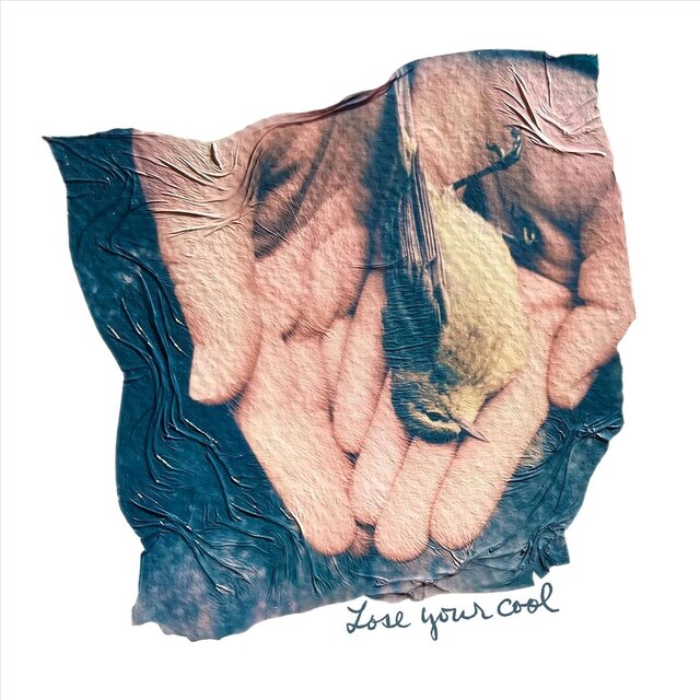 Lose Your Cool