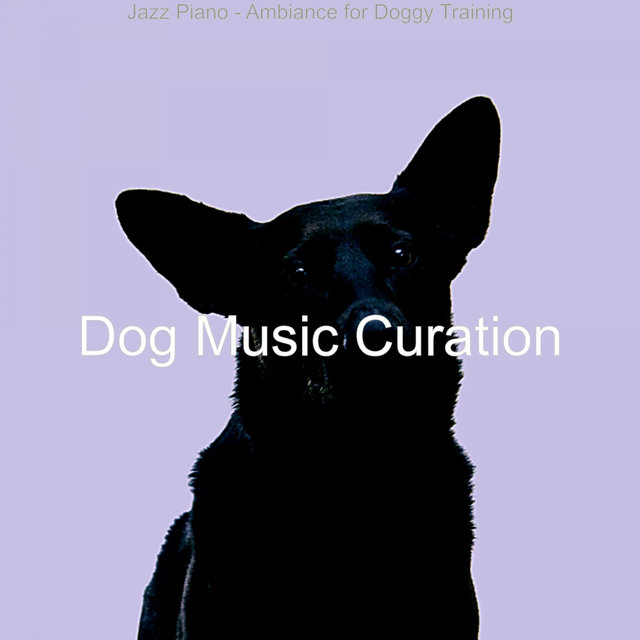 Jazz Piano - Ambiance for Doggy Training