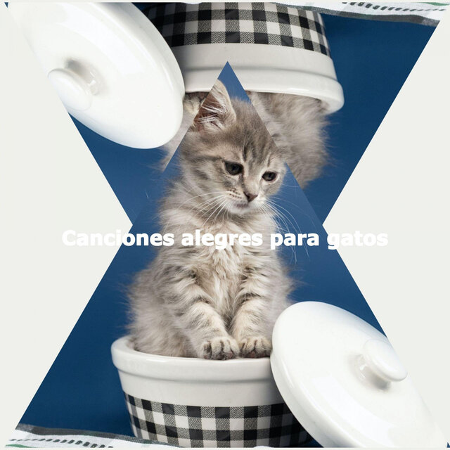 Canciones alegres para gatos