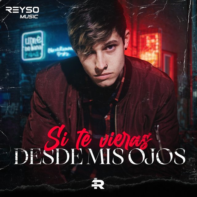 Si Te Vieras Desde Mis Ojos