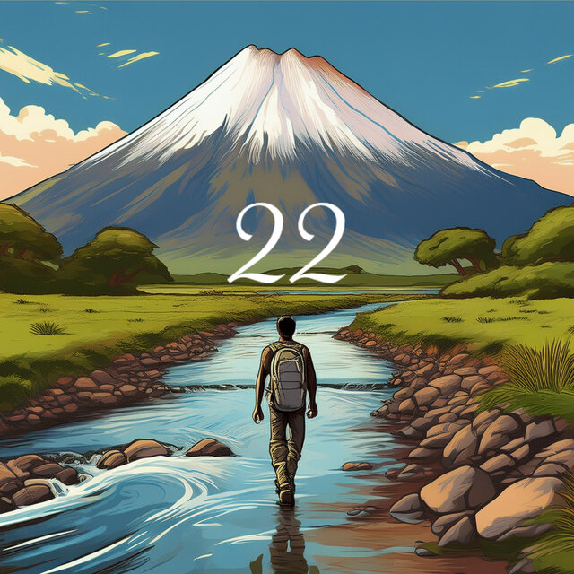 22