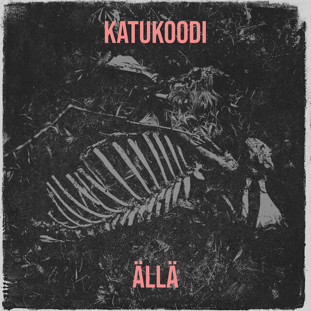 Katukoodi
