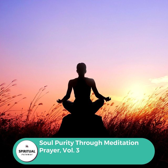 Soul Purity Through Meditation Prayer, Vol. 3