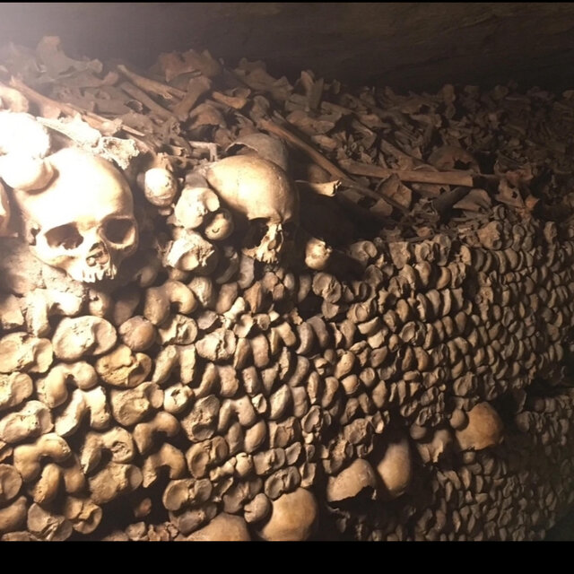BONES