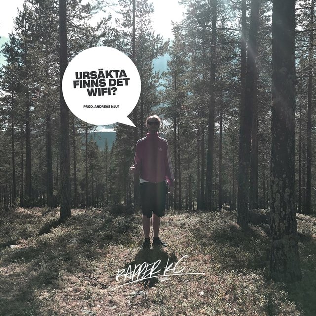 Ursäkta finns det wifi?