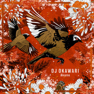 Dj Okawari - TIDAL