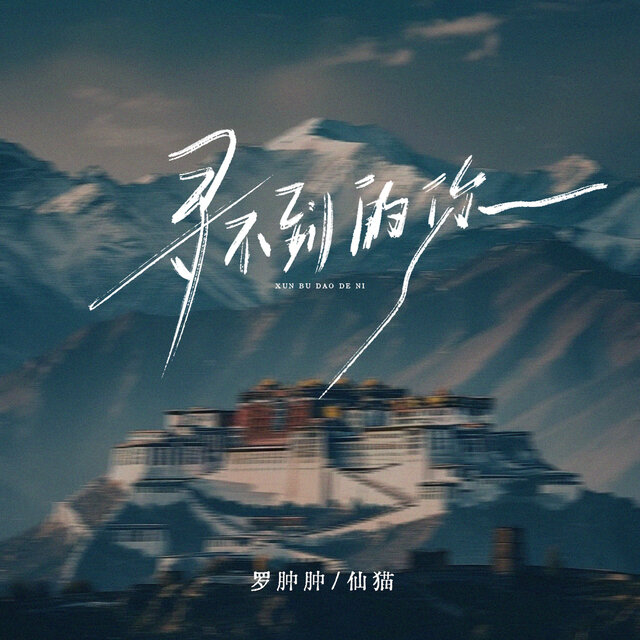 寻不到的你
