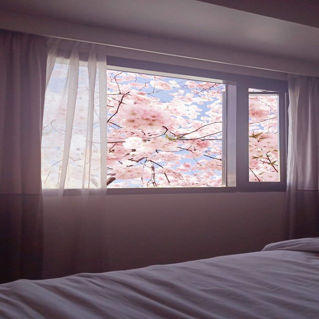 Staycation