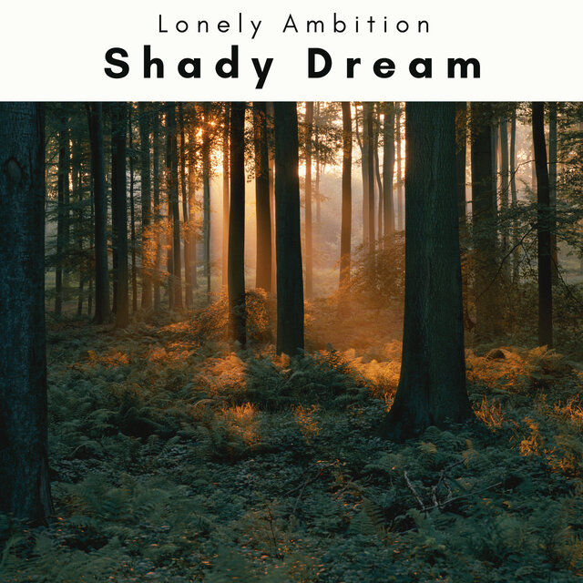 4 Rel: Shady Dream