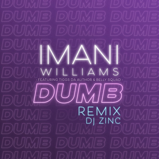 Dumb (feat. Tiggs Da Author & Belly Squad) (DJ Zinc Remix)