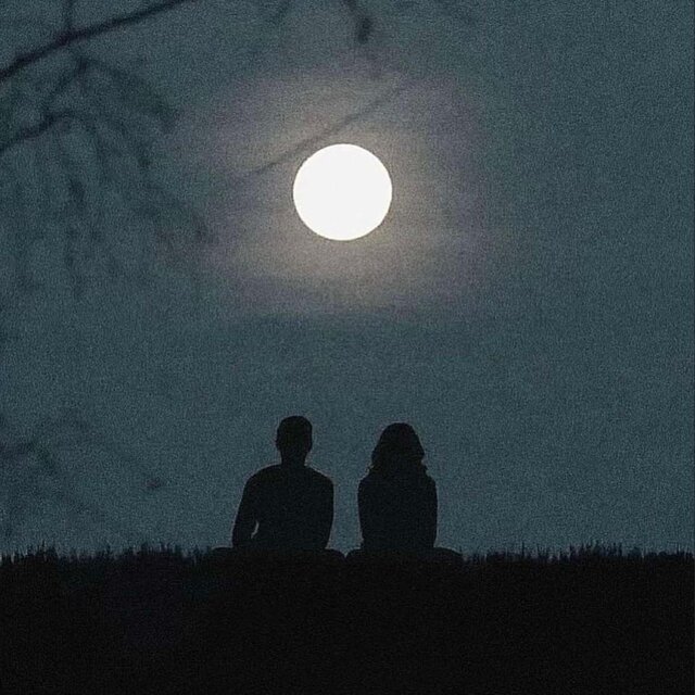 Fly me to the moon